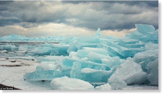 Click to enlarge 'I grew up watching my dad take photos and share that passion with him,' she said. 'I love the beauty of northern Michigan'
