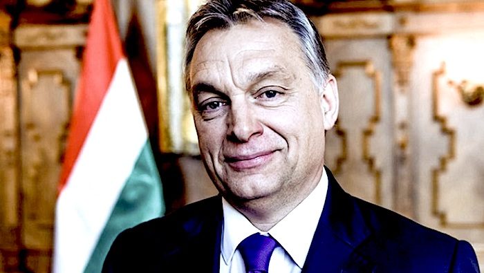 Click to enlarge Orban