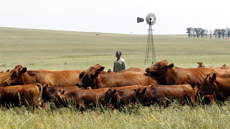 farmer south africa