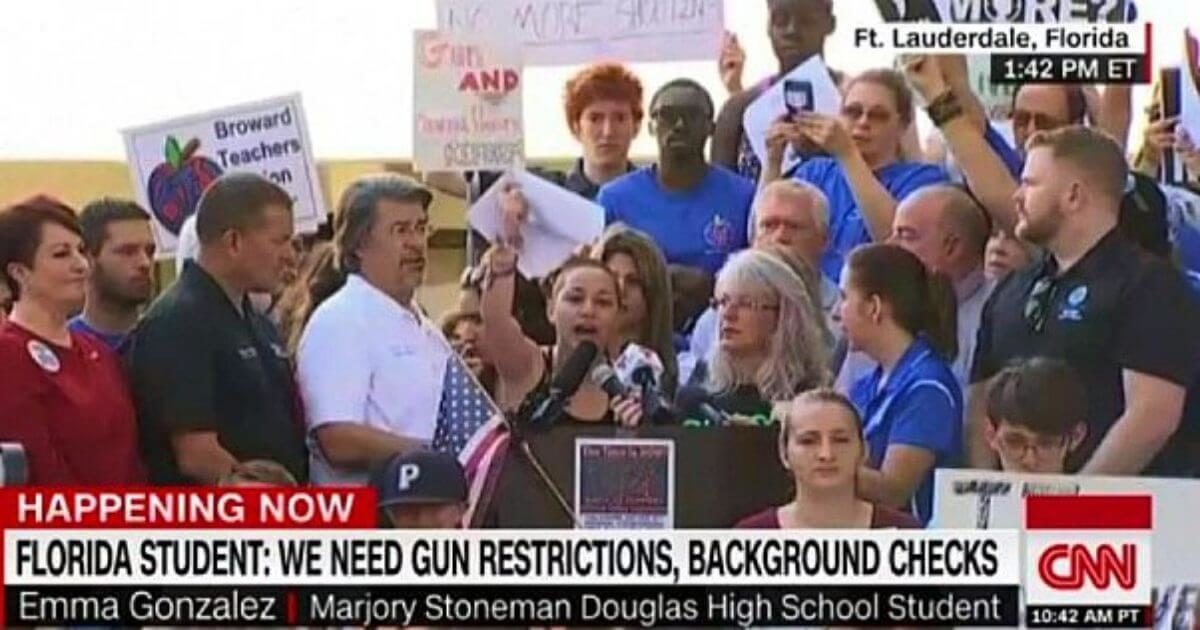 Click to enlarge gun control demonstration