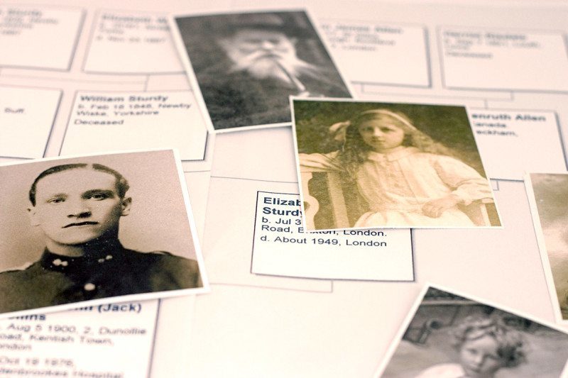 family tree