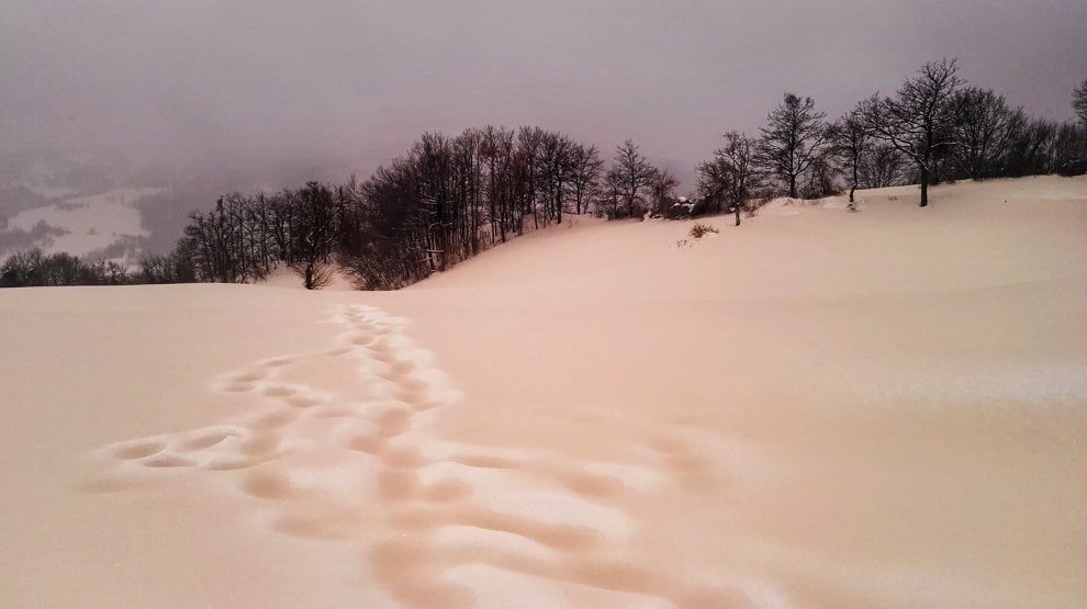 Click to enlarge pink snow tuscany