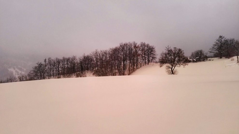 Click to enlarge pink snow tuscany