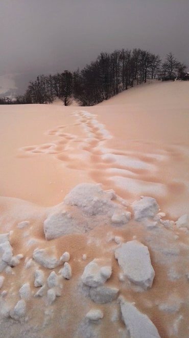 Click to enlarge pink snow tuscany