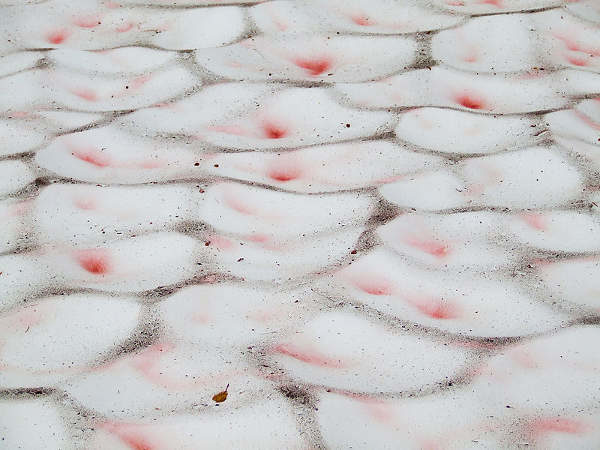 Click to enlarge pink snow sweden