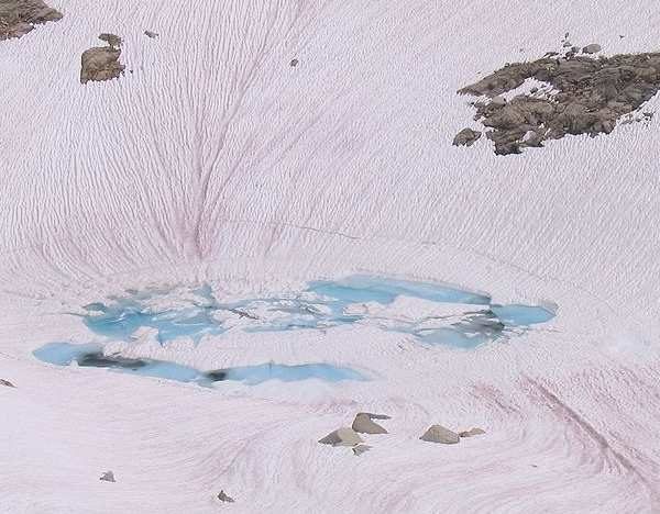 Click to enlarge pink snow sweden