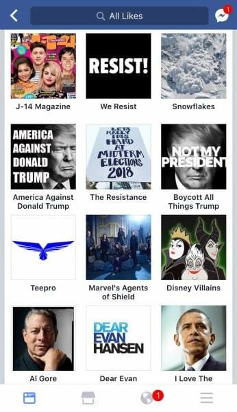 Click to enlarge facebook follows