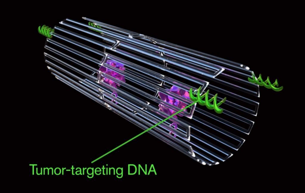 DNA-based nanorobot
