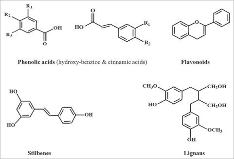 polyphenol diagram