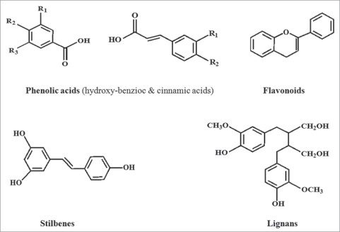 Click to enlarge polyphenol diagram