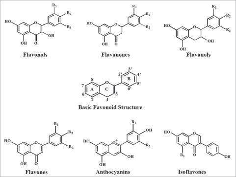 Click to enlarge flavanoids diagram