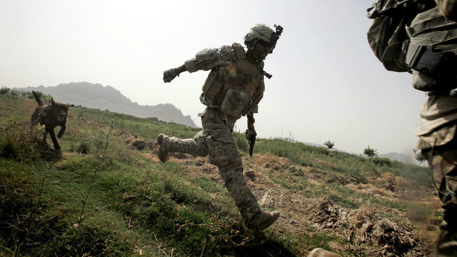 Click to enlarge us military dogs