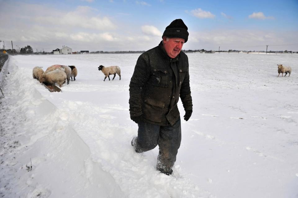 Click to enlarge sheep farmer ireland storm emma
