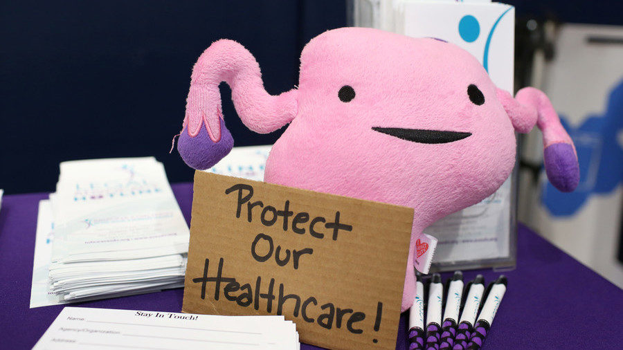 stuffed uterus doll