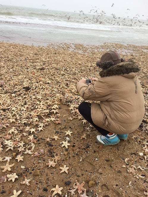 starfish Thanet