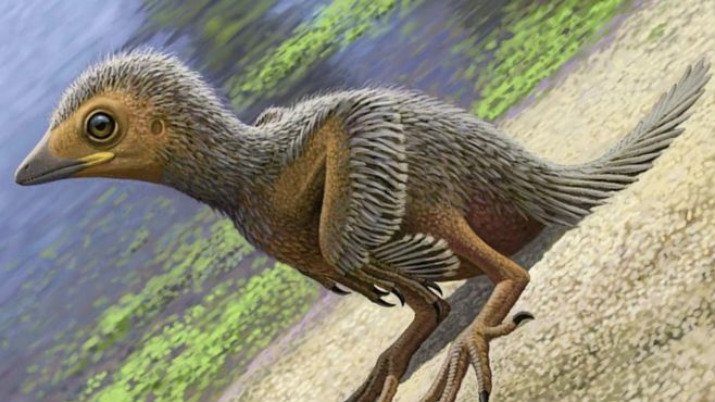 Click to enlarge Prehistoric Bird