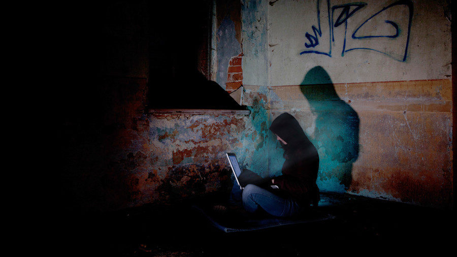computer hacker