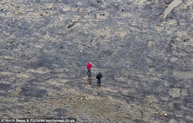 Click to enlarge The severe weather conditions in Britain have uncovered the ancient forest which usually lies hidden under sand.