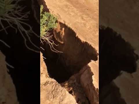 saudi arabia crack
