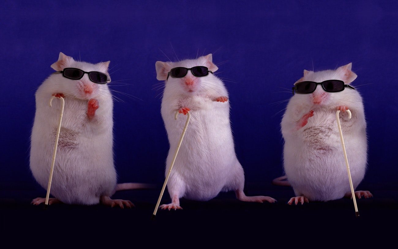 Click to enlarge 3 Blind Mice