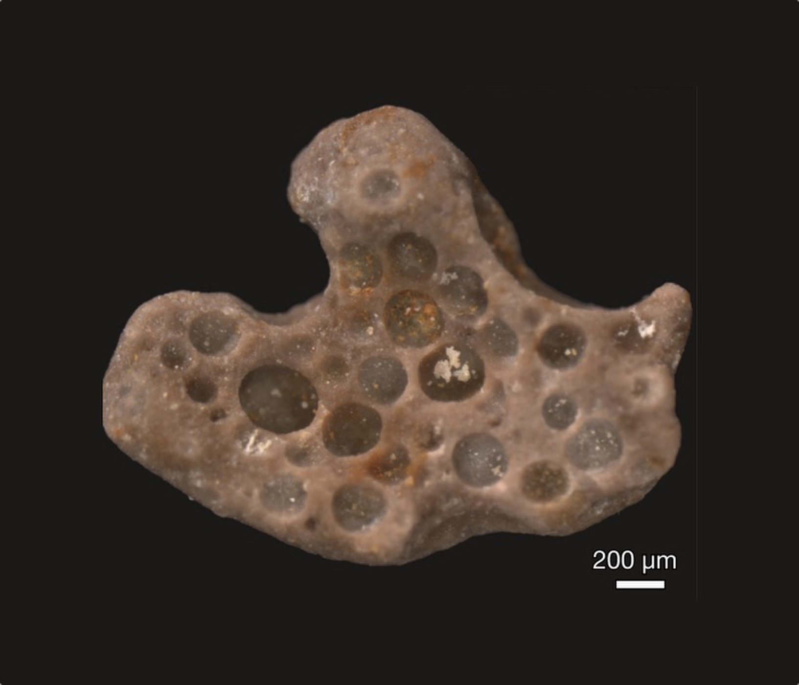 Click to enlarge fosslized air bubbles