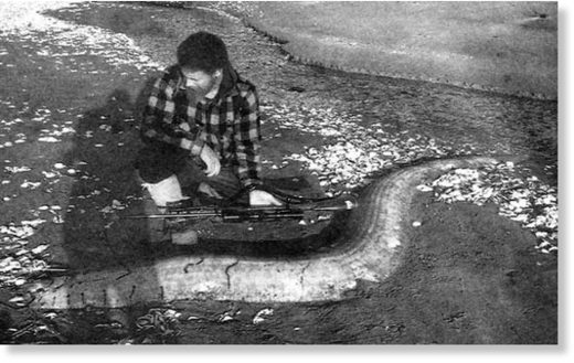 Click to enlarge David Musgrave with the rare silvery oarfish found washed ashore at Masons Bay, Stewart Island.