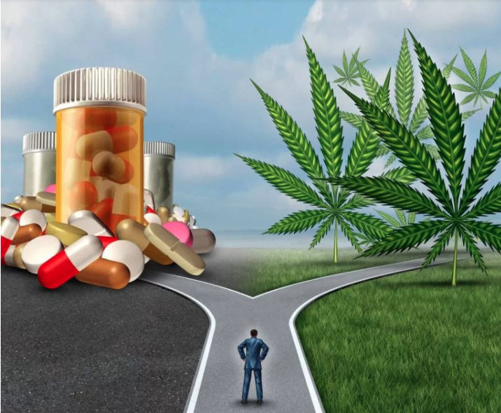 Click to enlarge California NORML