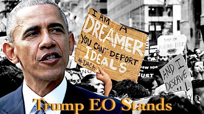 Click to enlarge Obamadreamers