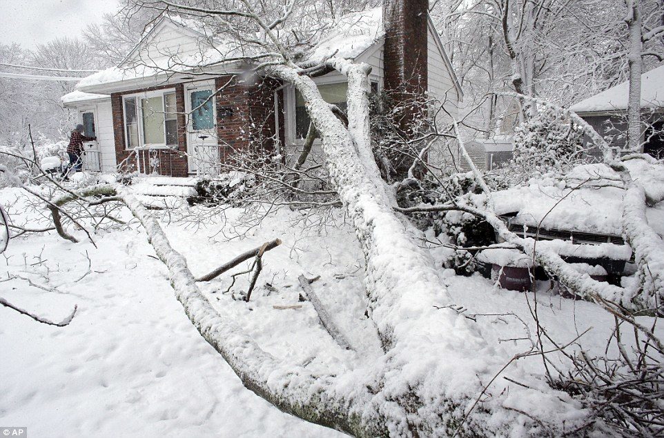 Because of the wet and heavy nature of the snow
