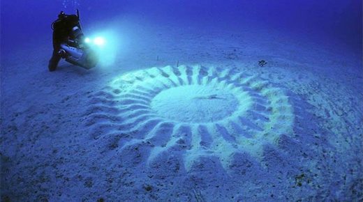 Puffer fish art