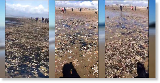 Stills from video by Juana Salas