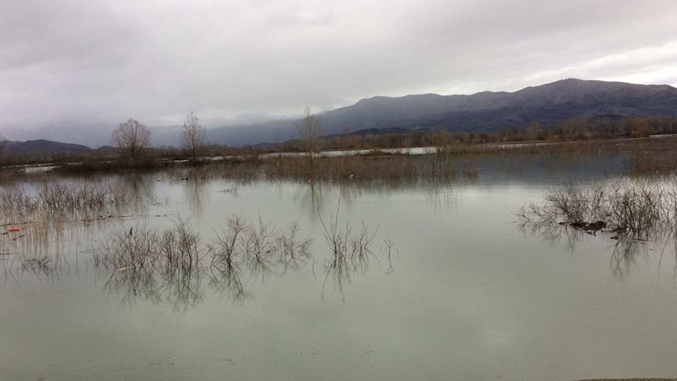 Click to enlarge Floods in Shkodër County, Albania, March 2018.