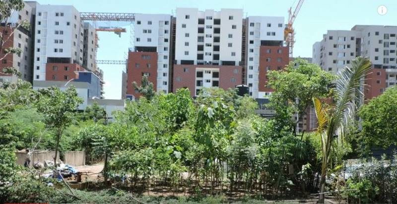 apartment city forest
