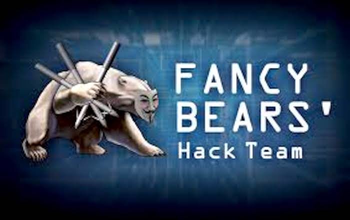 FancyBear