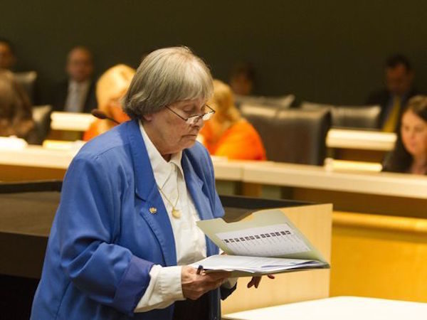 Click to enlarge Committee meeting on gun safety
