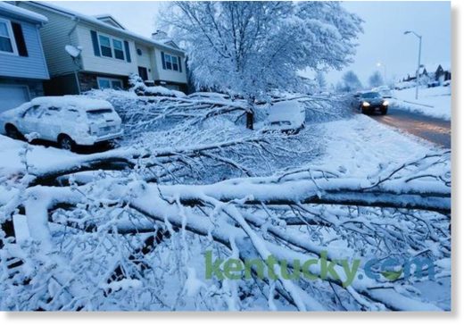 Click to enlarge Trees weighted down by heavy snow fell on vehicles on Hartland Pkw.
