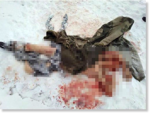 Mr Shushunov's mauled body lies at the scene of his horrific attack
