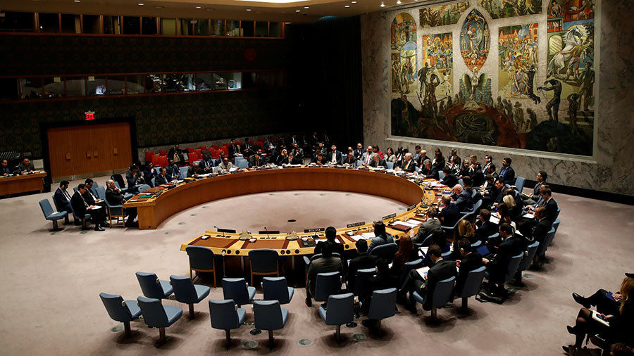 UN Security Council