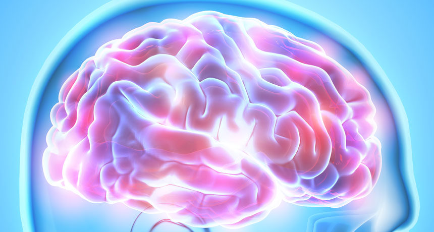 Click to enlarge brain