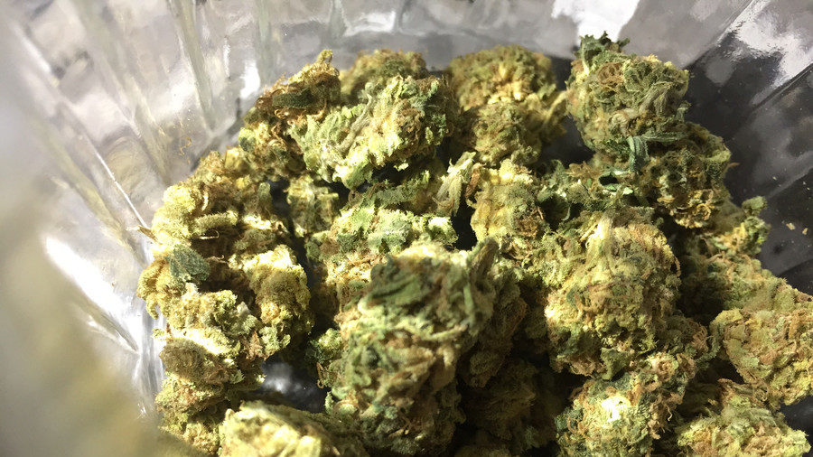 Cannabis