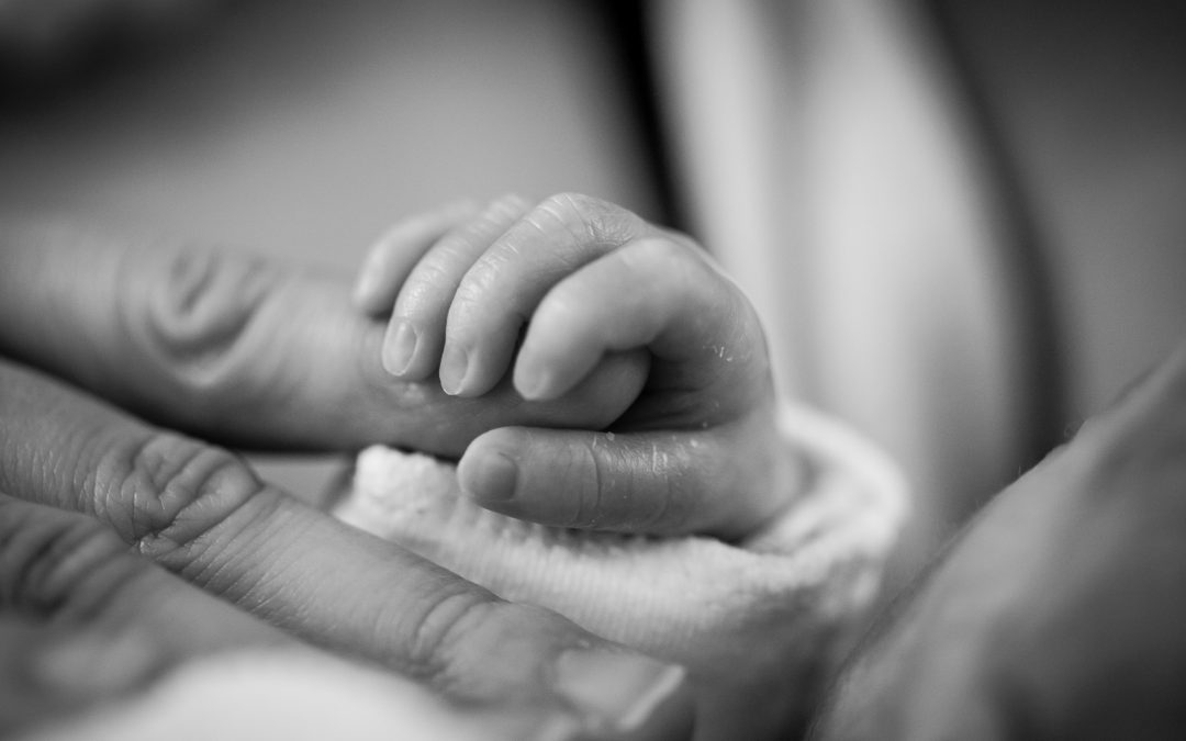 baby holding adult finger