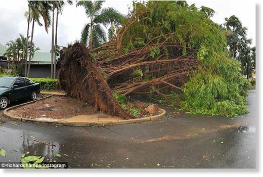 Darwin was ripped apart after Tropical Cyclone Marcus tore through earlier today