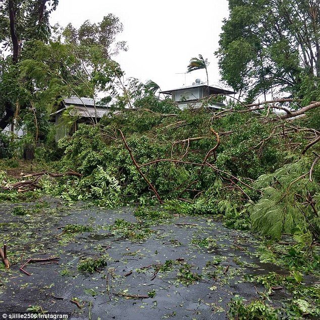 One local took to social media to say they hadn't seen one street without a tree down
