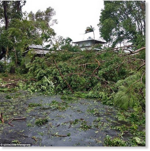 One local took to social media to say they hadn't seen one street without a tree down