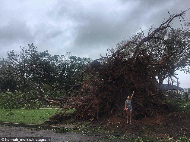 Flights in and out of Darwin have been cancelled and businesses have been told to close