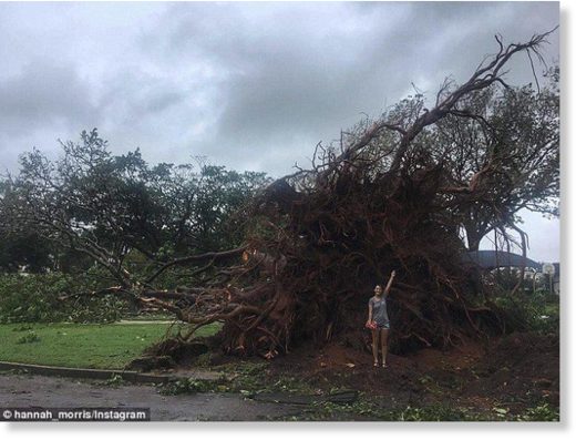 Flights in and out of Darwin have been cancelled and businesses have been told to close