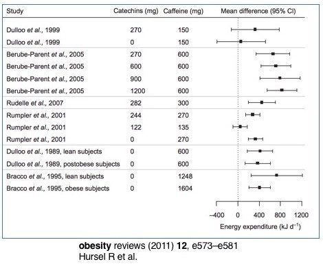 obesity study