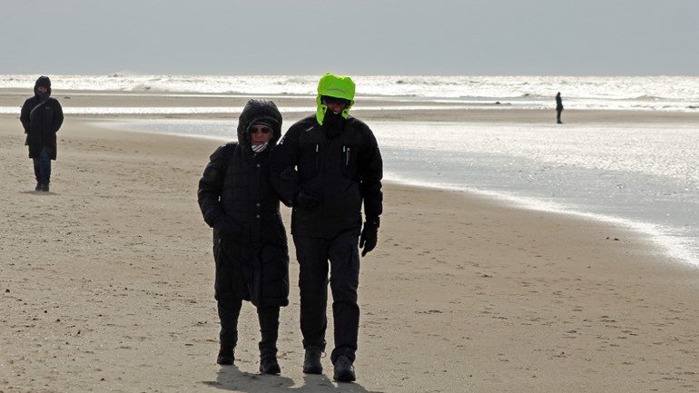 netherlands cold