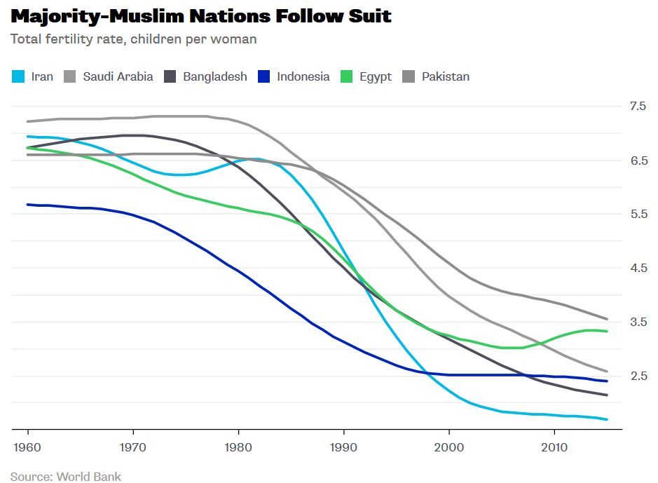 Muslim nations fertility