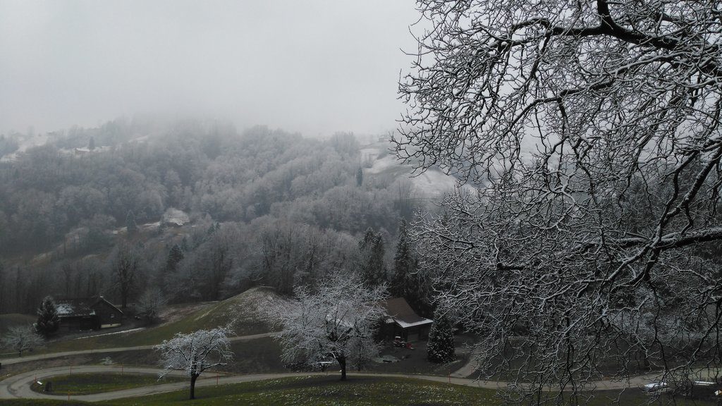 snow